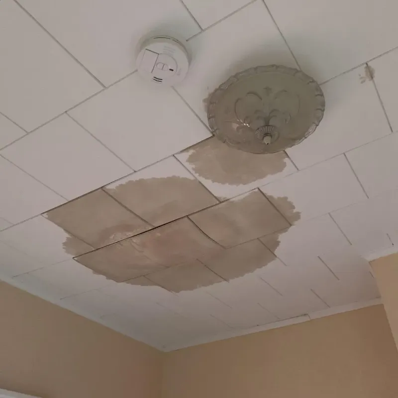 Ceiling Water Damage Repair in Destrehan, LA